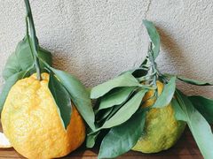 -七步香云南山里菜(昆明老街店)