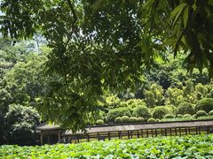 -龙头寺公园