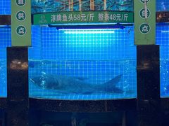 景观位-千岛湖小鱼儿·淳安匠心农家菜