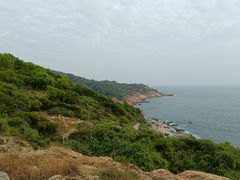 -广东惠东海龟国家级自然保护区