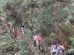 -东天目山风景区