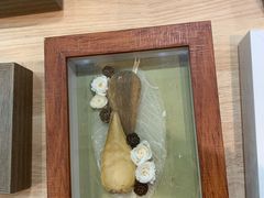 -万商花鸟市场