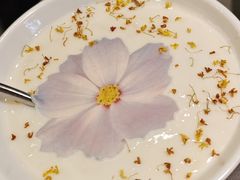 -楠小云·云南鲜菌·鲜牛自助火锅(九眼桥店)