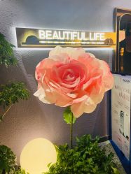 -花隐·美芙炫海菲秀皮肤管理中心