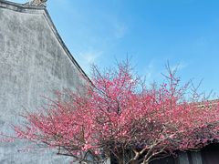 -王阳明故居