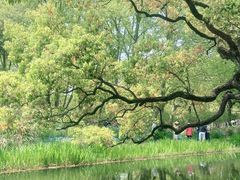 -上海共青森林公园