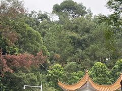 -白云山风景名胜区