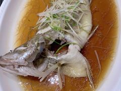 桂鱼-老好人象山海鲜(岭南路店)