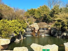 -南湾湖