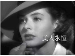 -上海杜莎夫人蜡像馆