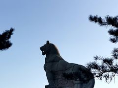 -帽儿山国家森林公园