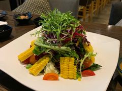 -Hatsune隐泉日式料理(三里屯太古里店)