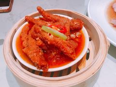 鸡爪-南枝记