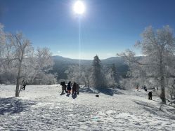 -大秃顶子山