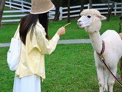 -云栖山谷野奢营地
