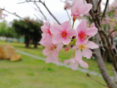 -文华公园(禅城区)