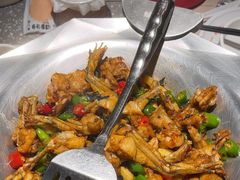 -蛙小侠(珠海华发商都店)