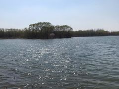 -大兴滨河森林公园