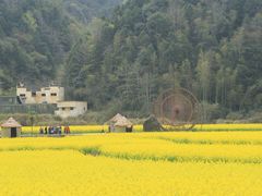-婺源风景区