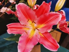 -鹿港小镇(金虹桥国际中心店)