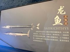 -贵州省地质博物馆