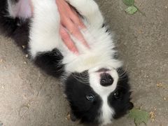 -金陵花卉交易市场