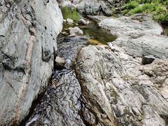 -黑河国家森林公园