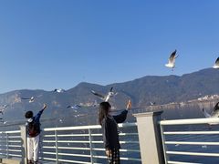 -滇池海埂公园