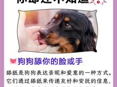 -唐小姐の猫狗洗护·购宠旗舰店(周浦万达店)