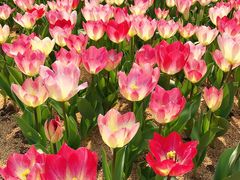 -公益图书馆(江南大学店)