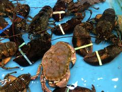 -渔人码头(洛溪店)
