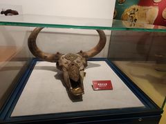 -浙江自然博物院(杭州馆)
