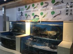 水产区-屯老二农家铁锅炖·行业领军者(梅江店)
