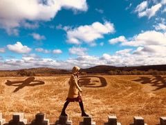 -御道口草原森林风景区