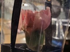 -凤园椰珍·臻品椰子鸡(保利时光里店)