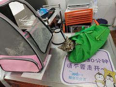 -荔康动物医院(康王北路店)