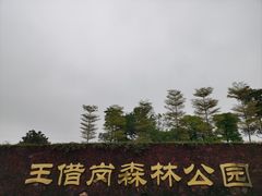 -文华公园(禅城区)