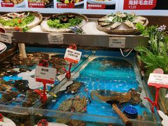 -必点海鲜·鲅鱼水饺(鞍山西道店)