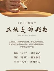 -帝迈造型