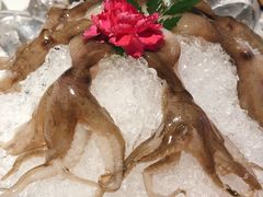 -煲宫猪肚鸡(晶品店)