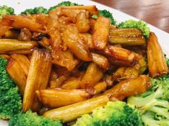 葱烧蹄筋-郑庄脂渣海鲜楼(九水路店)
