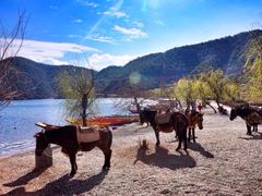 iphone_upload_pic-丽江泸沽湖景区-里格半岛