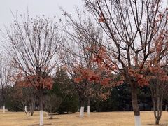 -北京园博大酒店