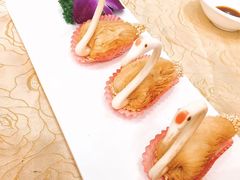 -海港酒楼·平价海鲜·茶点(小公园店)