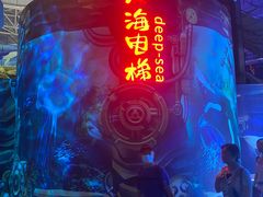 -烟台海昌鲸鲨海洋公园