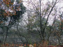 -祁门牯牛降观音堂风景区