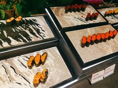 -西十二街牛排(西红门荟聚店)