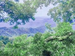 -武当山风景区