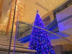 -视界美食自助餐厅·石家庄希尔顿酒店