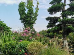 -东莞植物园